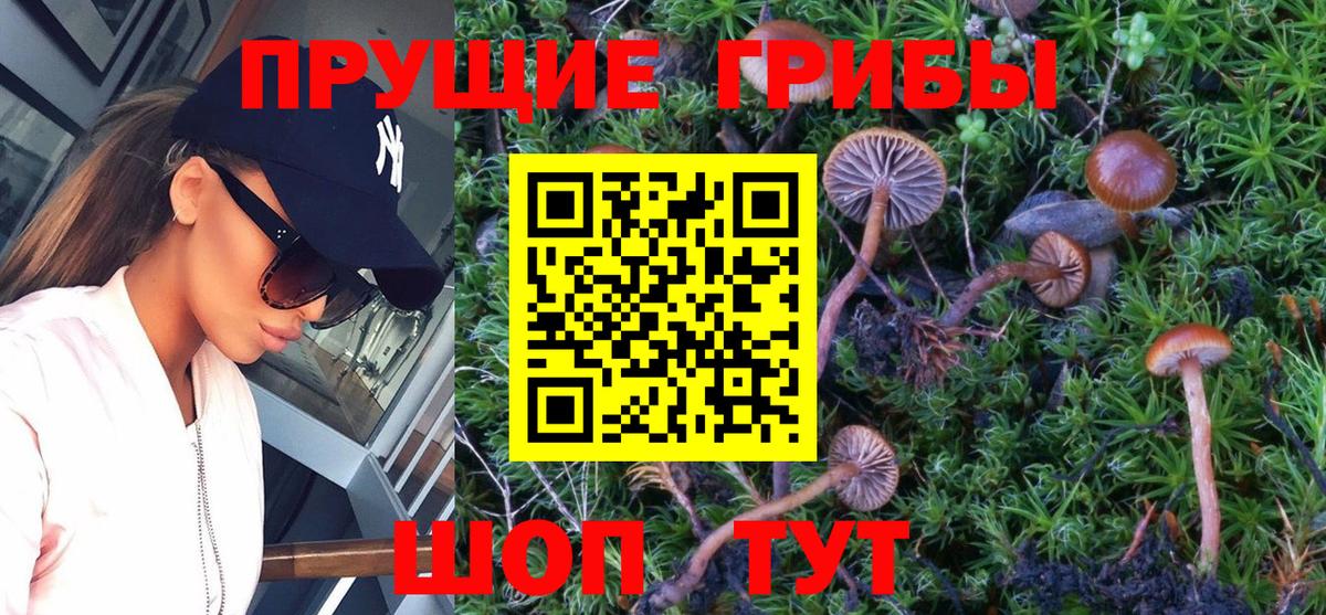 Галлюциногенные грибы Magic Shrooms  Вход с VPN  Изобильный 